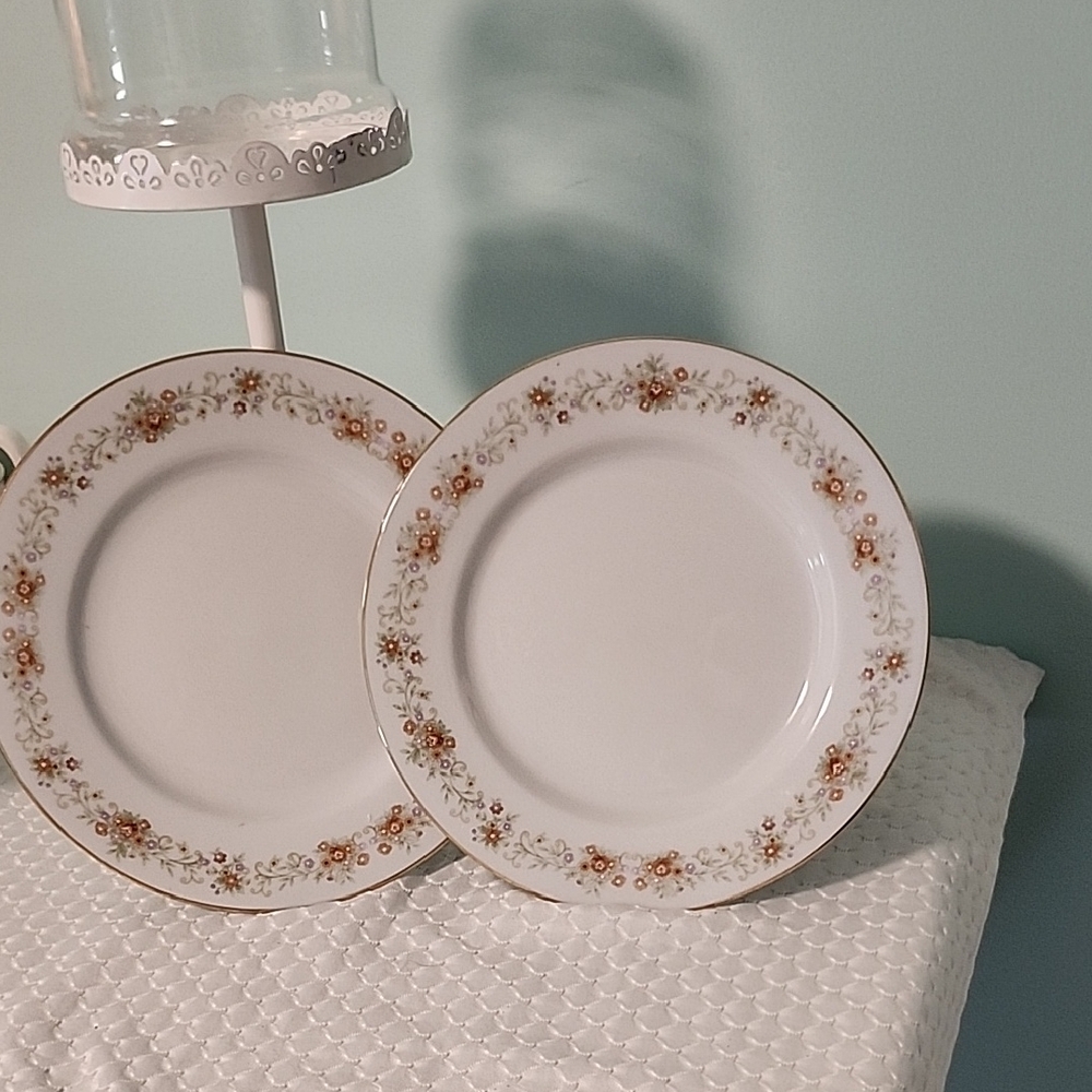 Set Of 2 Salad Plates International Porcelain The Brighton Collection 8302